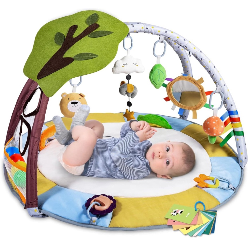 Brand New Baby Gym